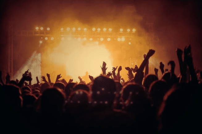 Concert crowd