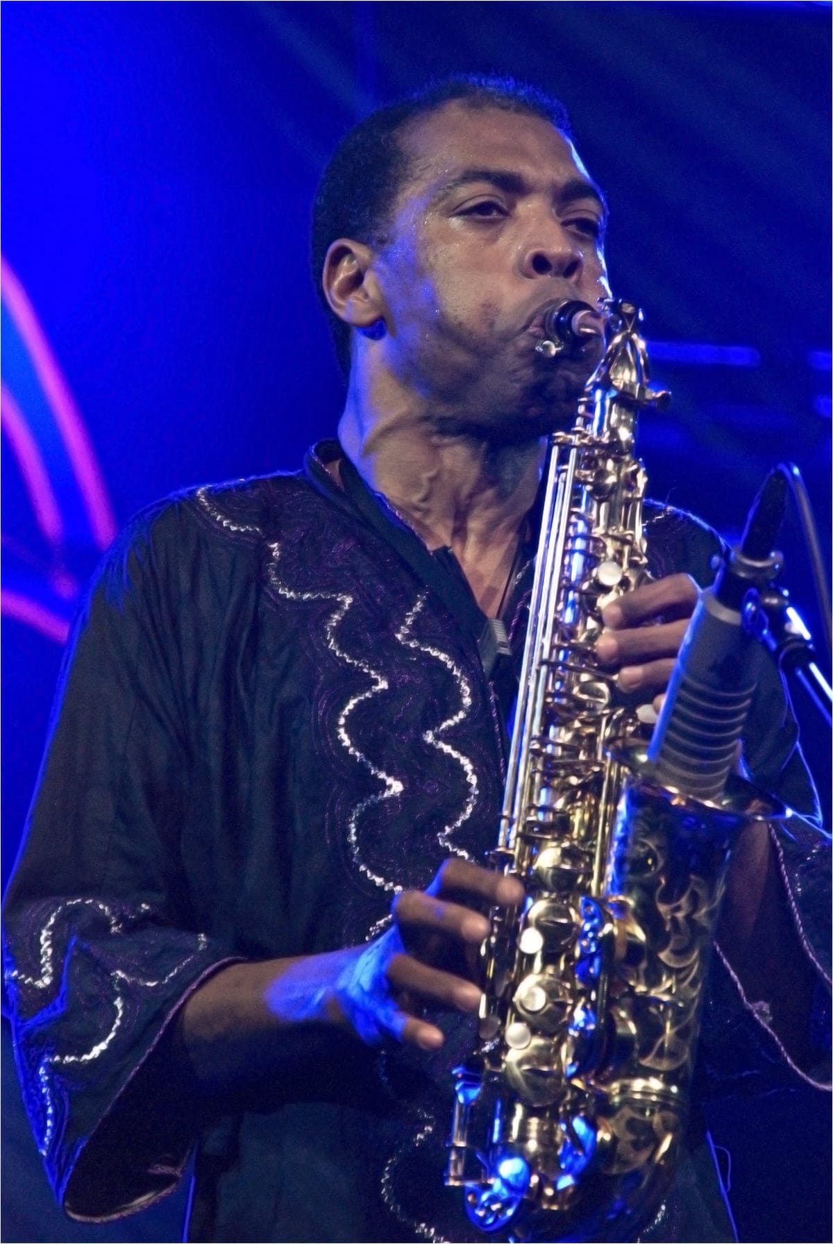 Concert Femi Kuti